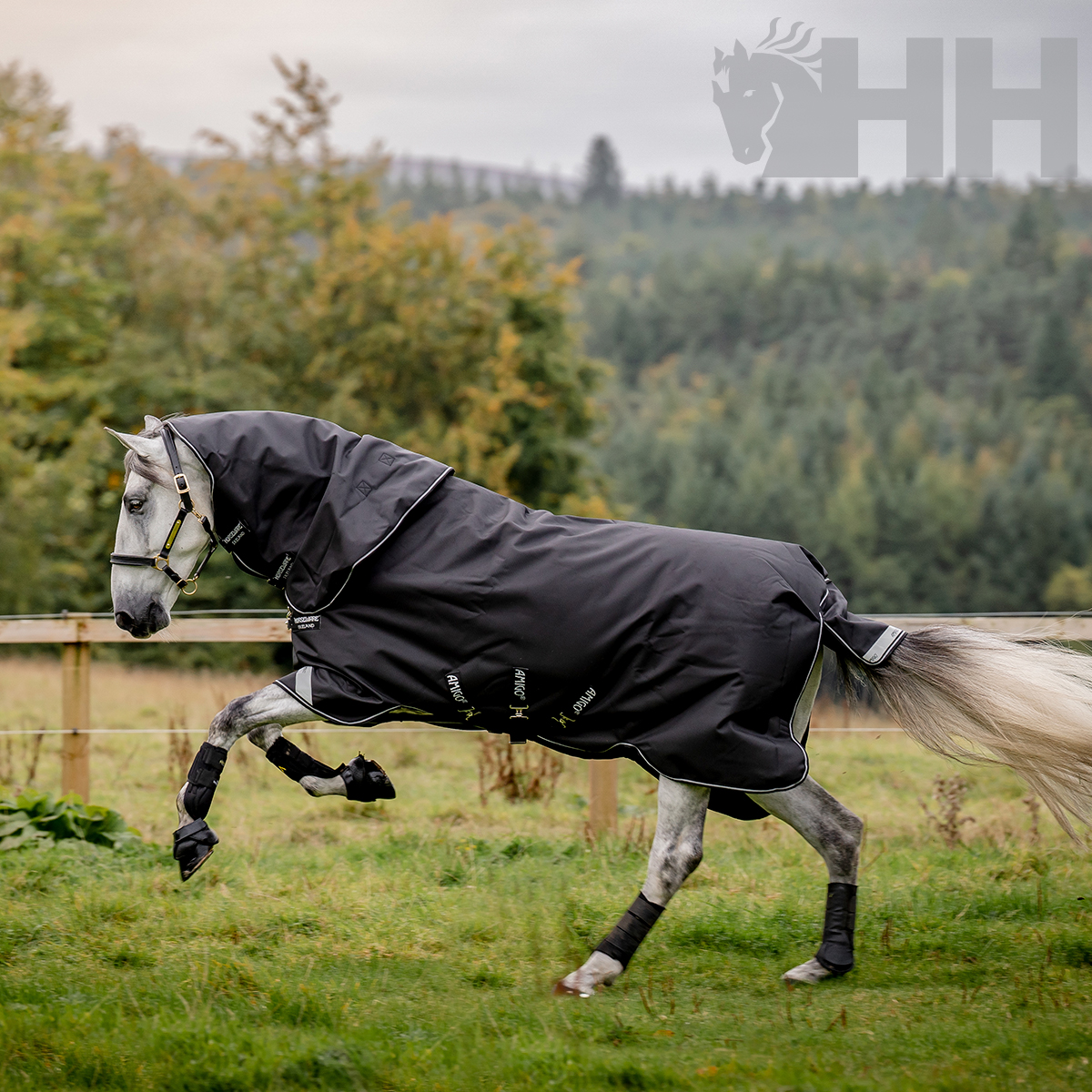 Cavalo com manta preta e capuz numa pradaria verde