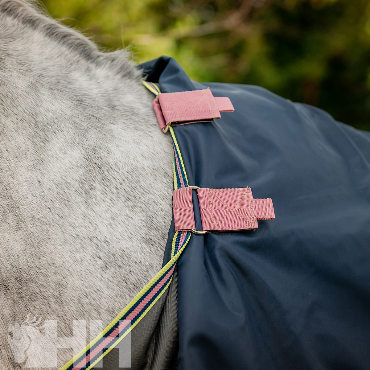 Cobertura azul escuro para cavalo com fivelas cor-de-rosa e tiras riscada, sobre cavalo cinzento em ambiente exterior