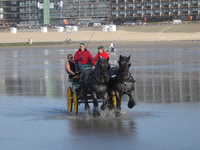 Carruagem puxada por cavalos na praia com pessoas