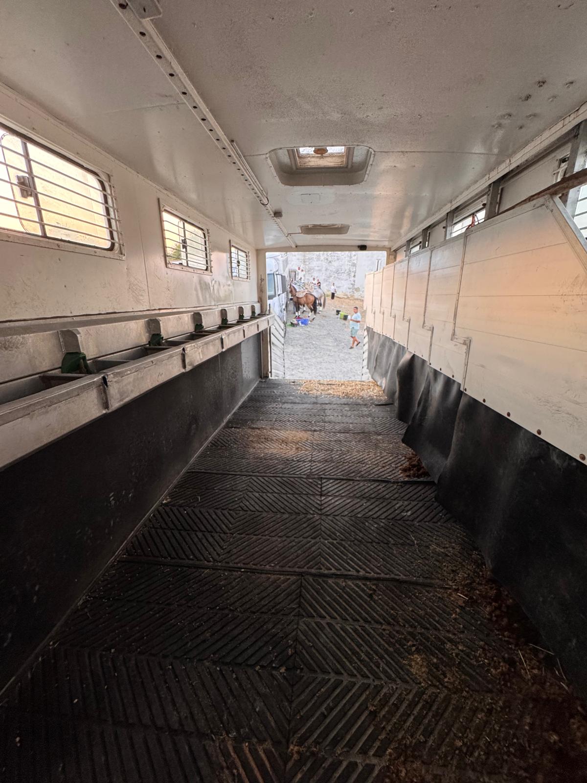 Interior de atrelado para transporte de animais com piso emborrachado e paredes brancas