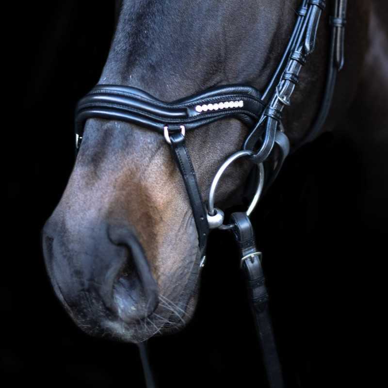 Focinho de cavalo com cabresto de couro preto e cristais