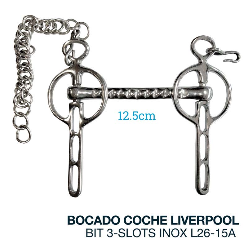 Bocado de aço inoxidável para cavalo com corrente e 12,5 cm descrito em texto