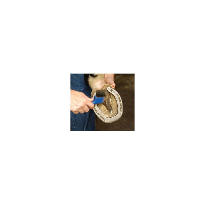 Pessoa a escovar uma ferradura metálica prateada no casco de um cavalo com escova azul