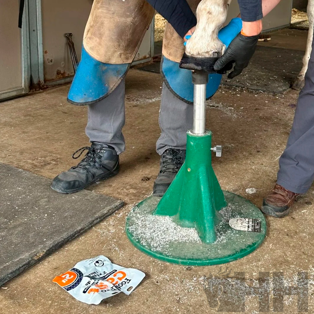 Equipamento para apoio de casco de cavalo com protetores azuis e saco rasgado no chão num estábulo