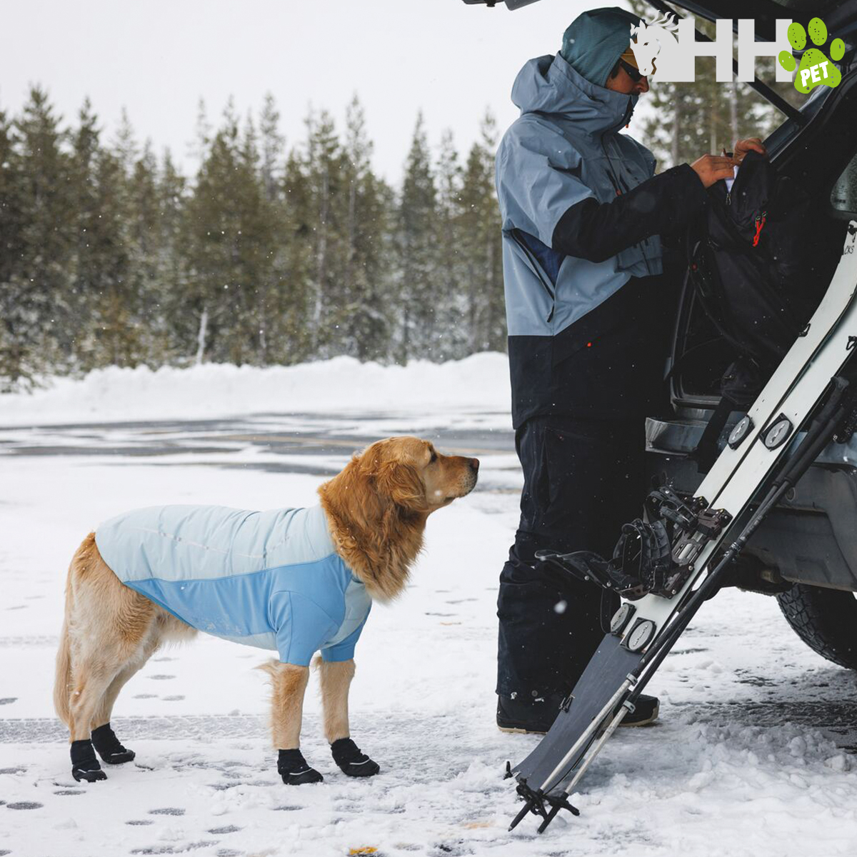 Cão com casaco e botas na neve ao lado de pessoa com roupa de inverno e esquis junto a carro