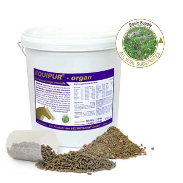 Produto alimentar para cavalos EQUIPUR - organ em balde branco, granulados e ervas, selo de substâncias vitais