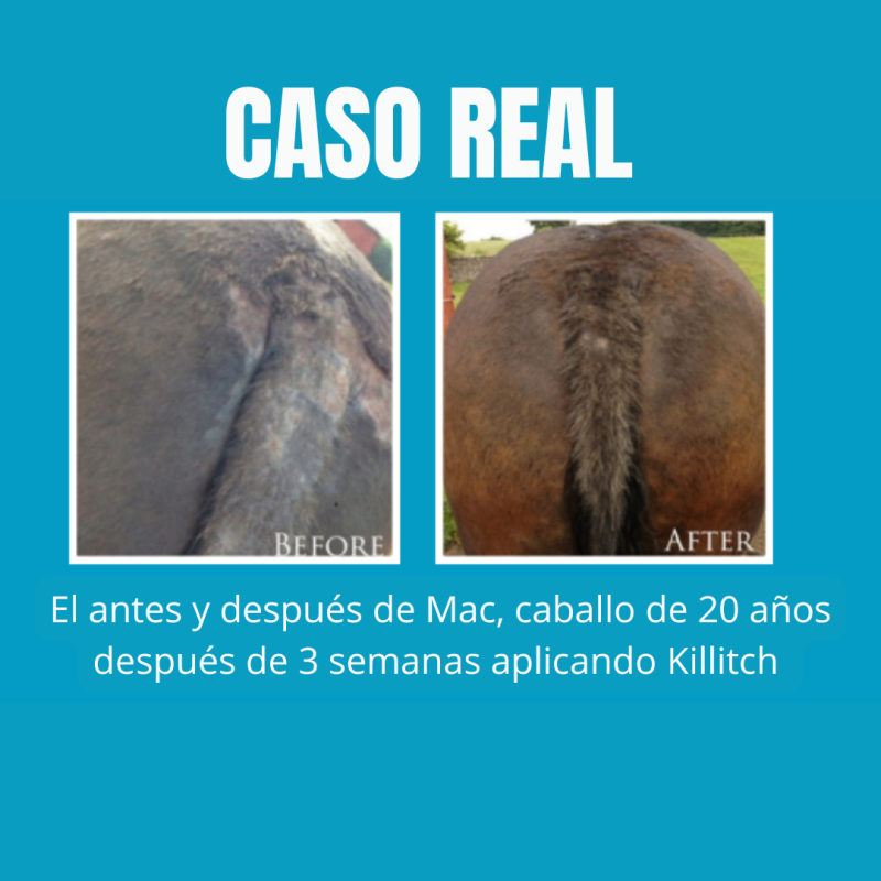Antes e depois do cuidado num cavalo castanho com texto em espanhol e título CASO REAL