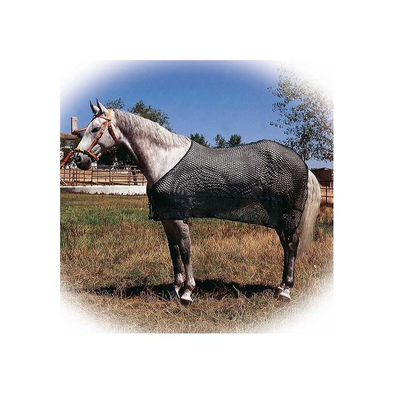 Cavalo com rede de proteção preta e halter castanho e branco