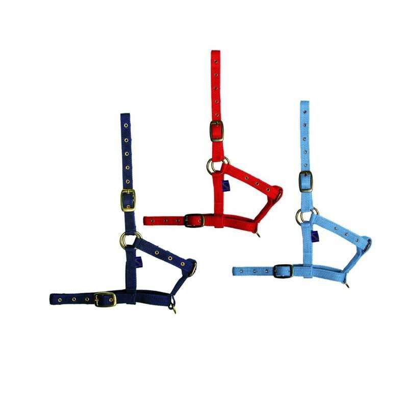 Três cabrestos coloridos para animais em azul, vermelho e azul claro