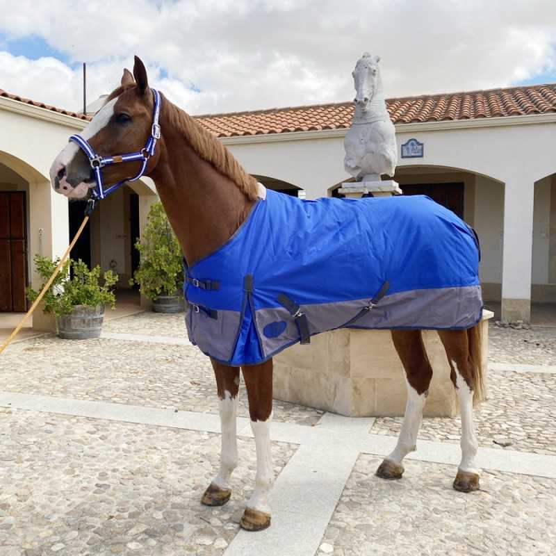 Cavalo castanho com manta azul e cabresto azul na calçada de um pátio com estátua e edifício branco