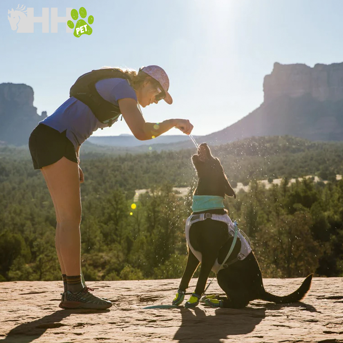 Mulher a dar água a cão preto de arnês numa paisagem de montanha