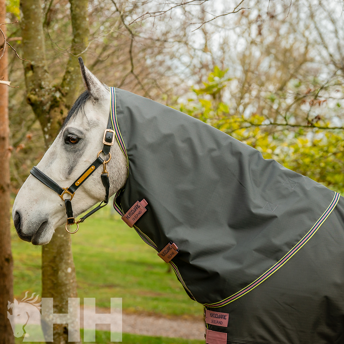 Cavalo com cobertura de tecido cinza escuro com tiras amarelas e lilases e etiquetas cor-de-rosa