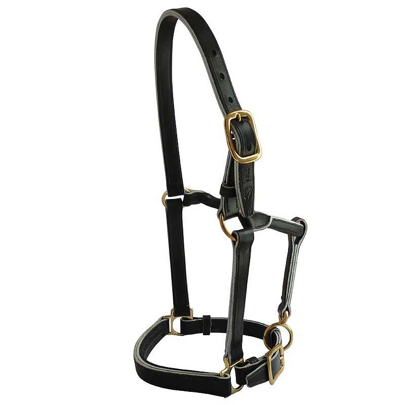 Cabresto preto de couro com fivelas douradas