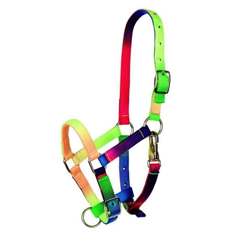 Cabresto arco-íris para animais em nylon com fivelas metálicas