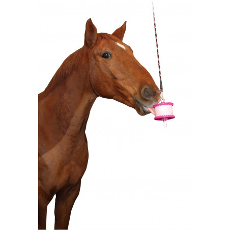 Cavalo castanho a lamber objeto rosa pendurado