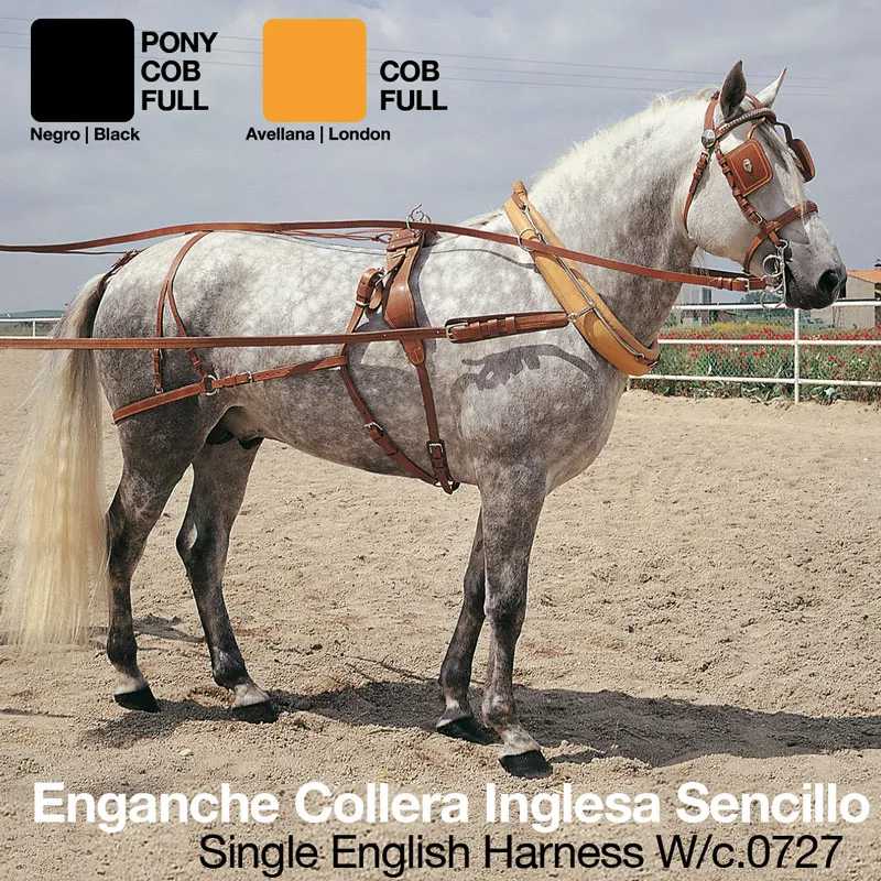 Cavalo com arreio de couro marrom ao ar livre