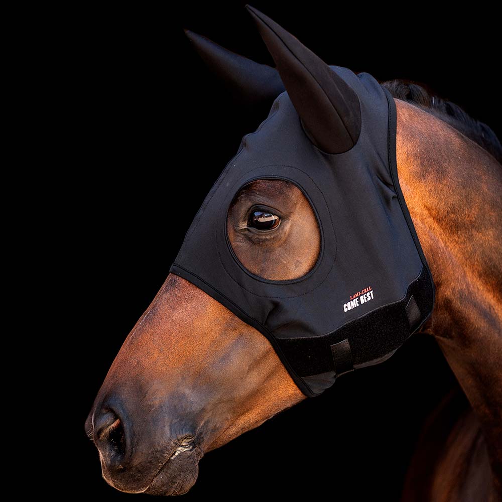 Máscara preta para cavalo com buracos para os olhos e orelhas pontiagudas