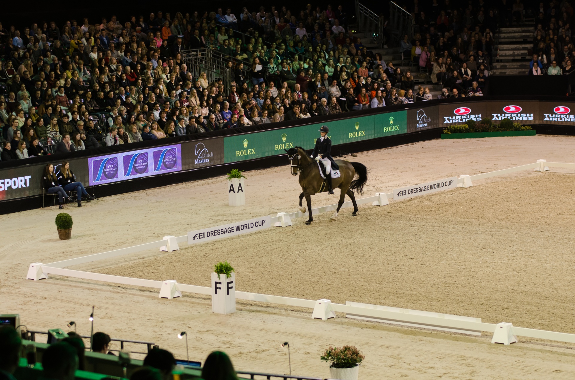 Concursos de equitação em arena de areia com cavalo e cavaleiro e público nas bancadas