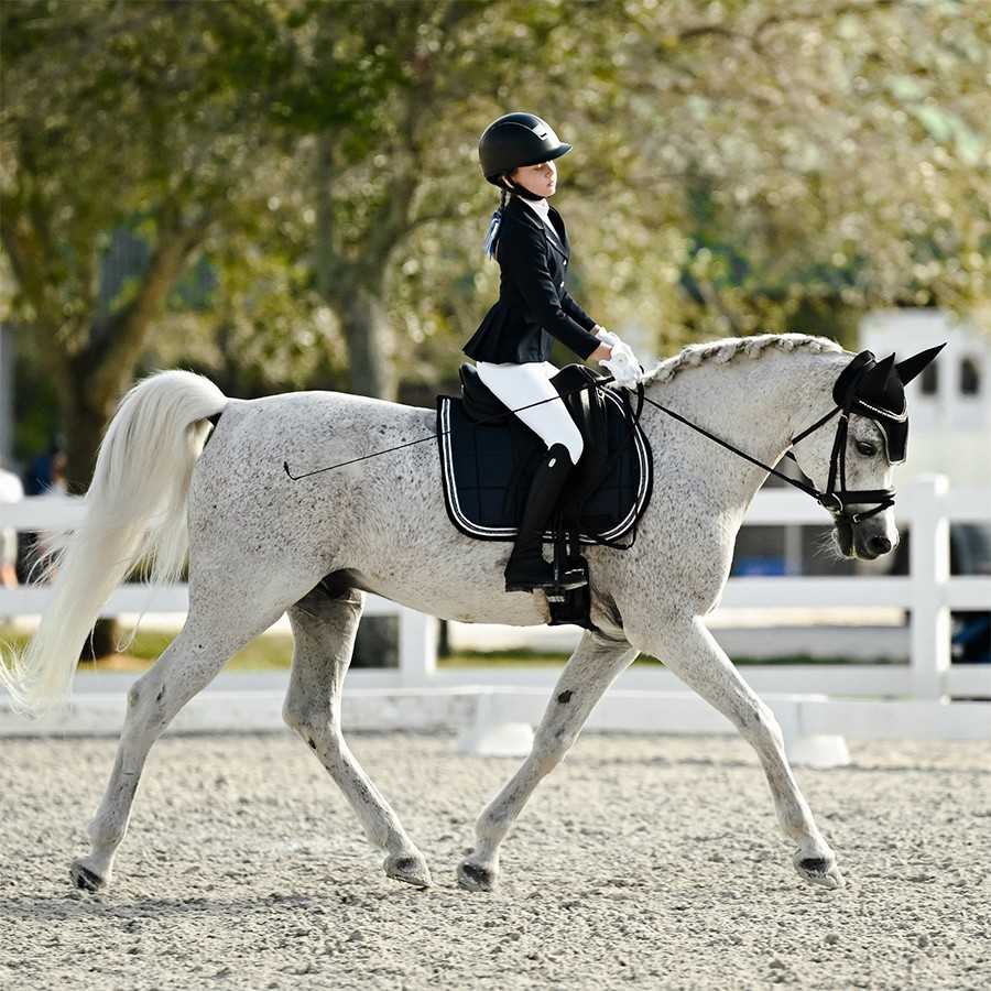 Cavaleiro jovem a montar cavalo cinzento com equipamento de equitação preto e branco num picadeiro ao ar livre