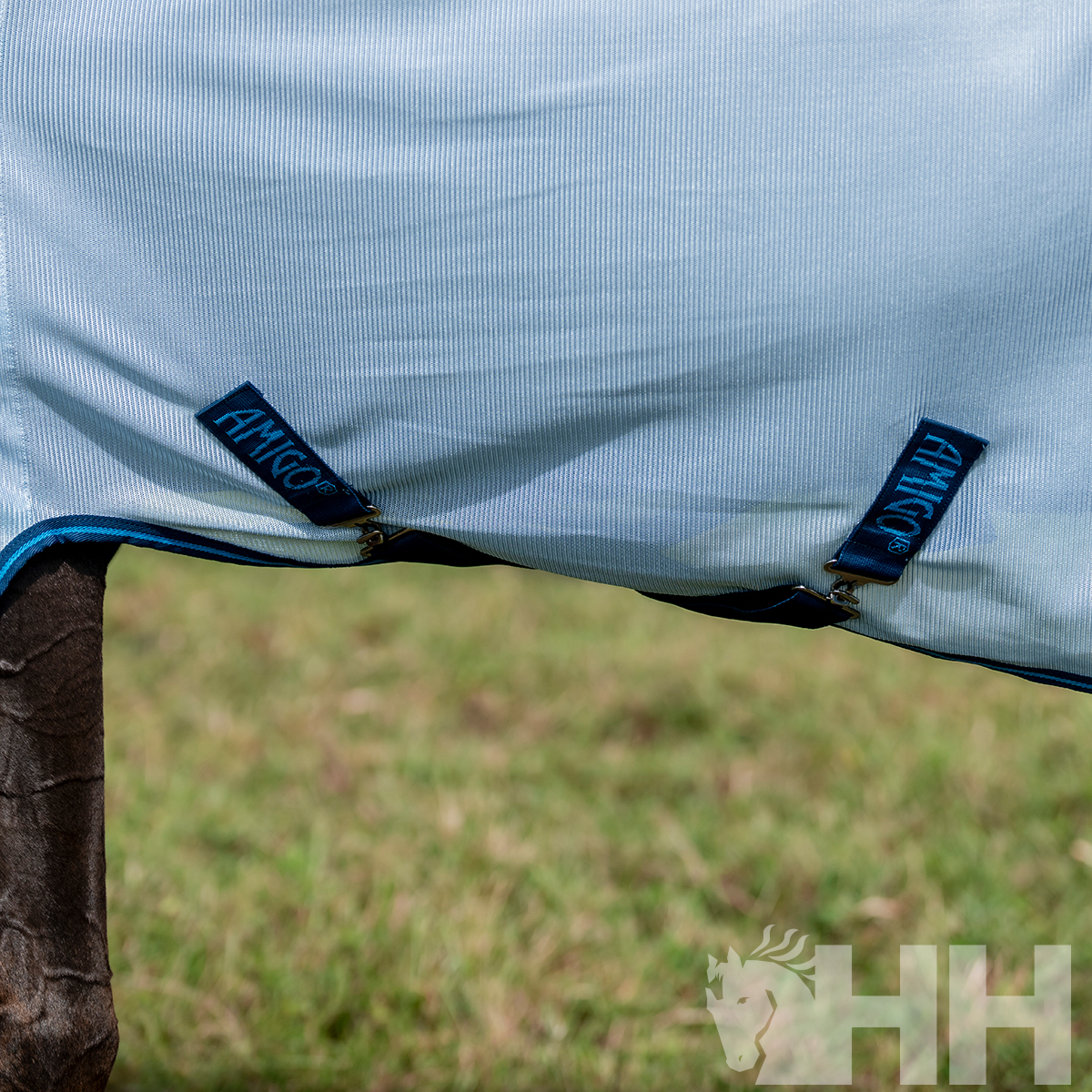 Cobertura azul clara para cavalo com etiquetas AMIGO e relva ao fundo