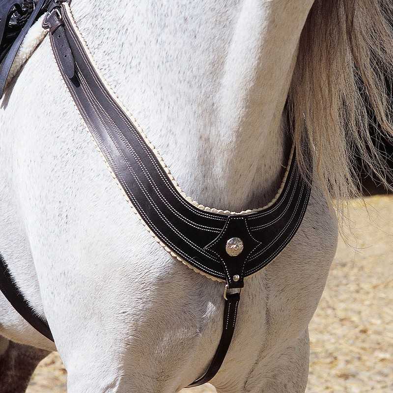 Coleira de arreio de couro castanho no pescoço de cavalo branco