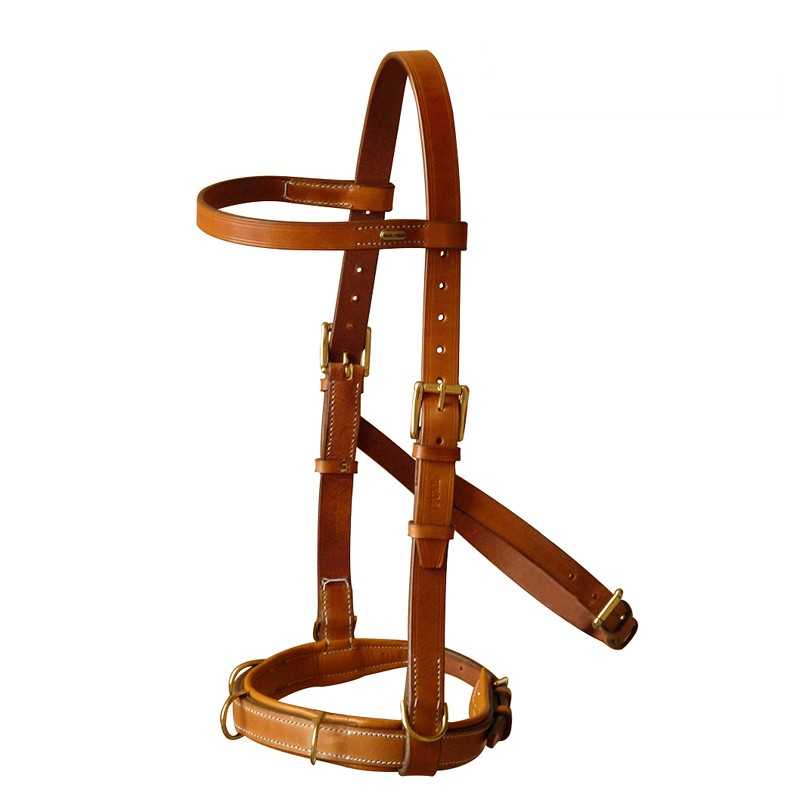 Arnês de couro castanho com fivelas douradas e costuras visíveis