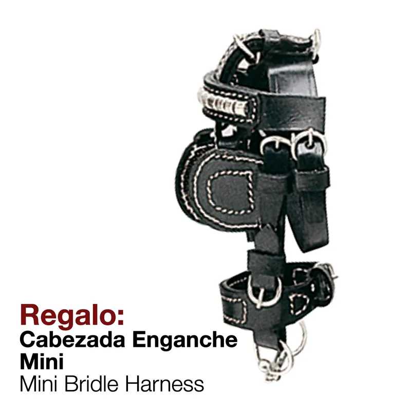 Cabresto mini em pele preta com costuras e fivelas