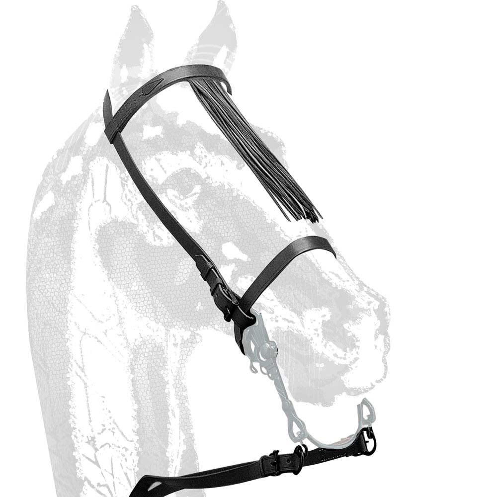 Cabresto de cavalo preto com franjas