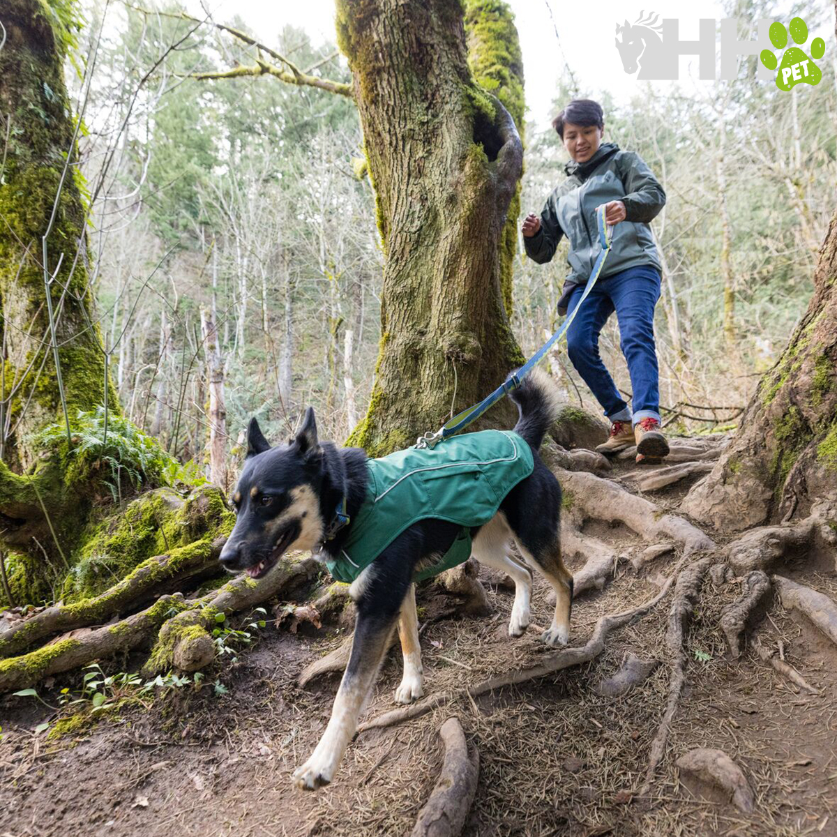 Cão com casaco verde a descer trilho de floresta com pessoa atrás