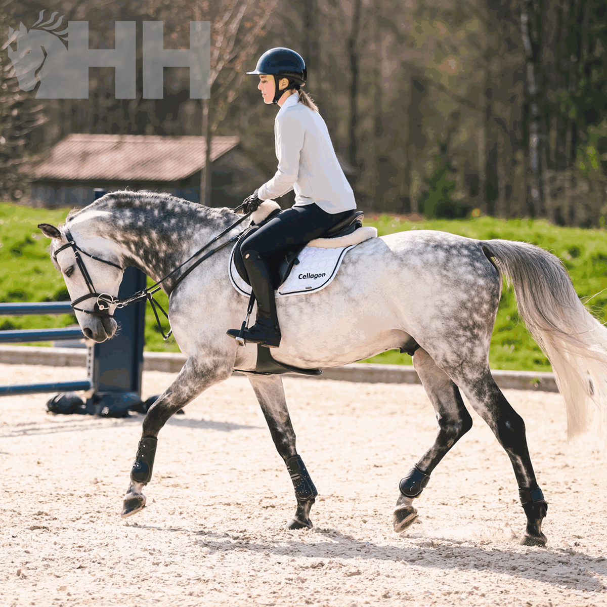 Cavalo cinza com sela branca e pessoa vestindo capacete e roupa de equitação