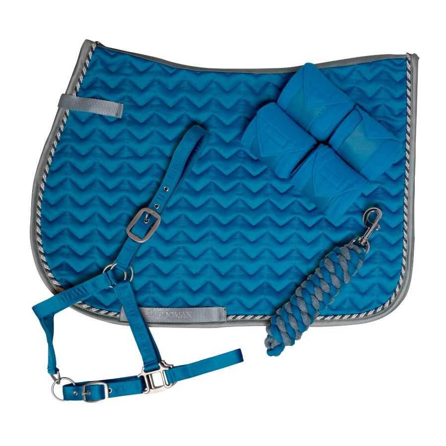 Conjunto para cavalo azul com manta acolchoada e acessórios