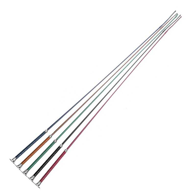 Cinco varas longas para equitação com cabos de diferentes cores e pontas metálicas