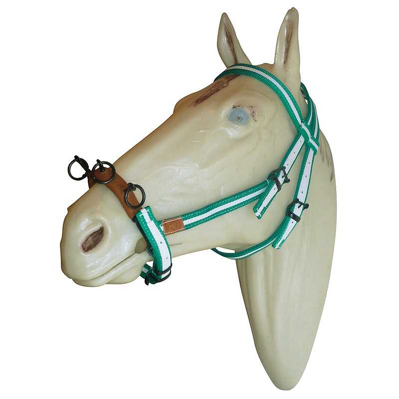 Cabresto para cavalo verde e branco em manequim bege