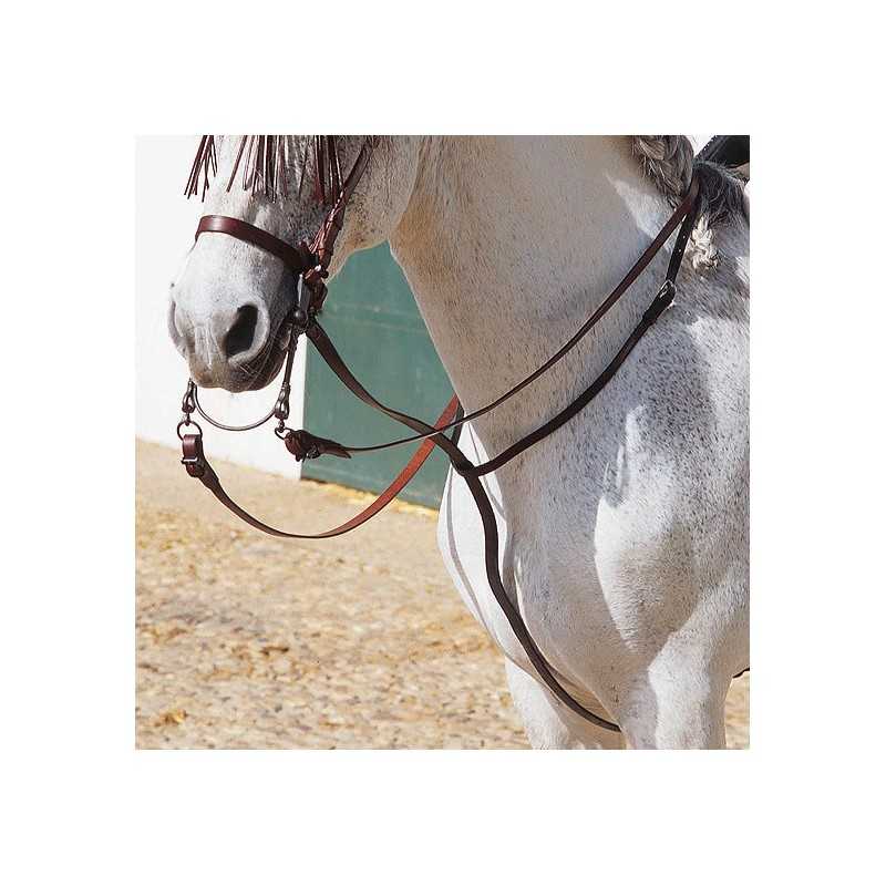 Cavalo branco com cabresto e rédeas castanhas