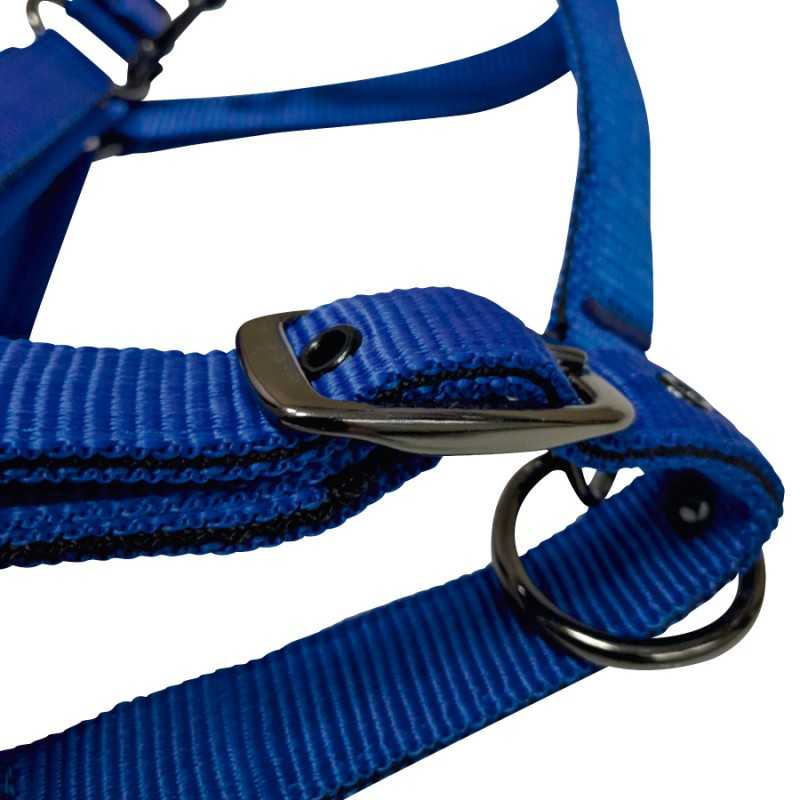 Peitoral azul de nylon com fivelas metálicas e argola para cães