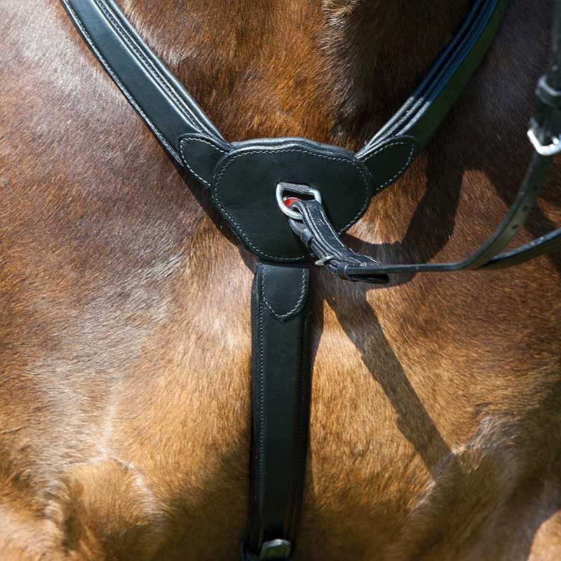 Peitoral preto de couro para cavalo sobre pelo castanho
