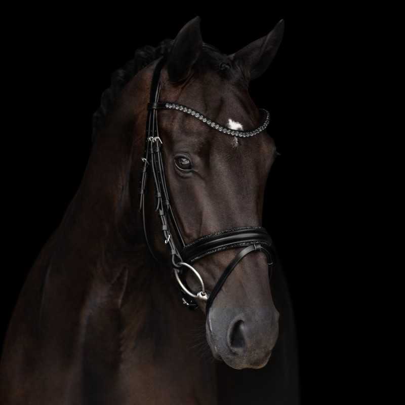 Cavalo castanho escuro com peiteira de couro preto decorada com cristais