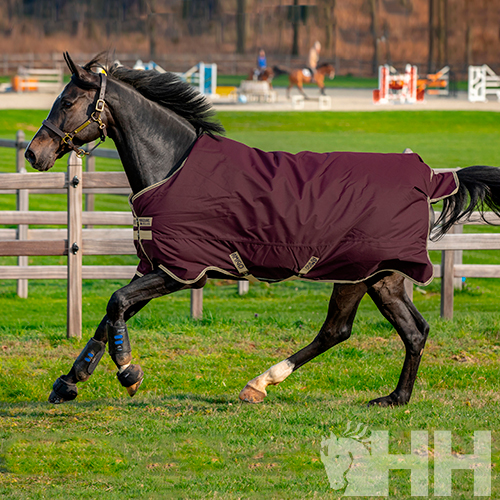 Cavalo preto a correr com manta impermeável castanha num campo verde