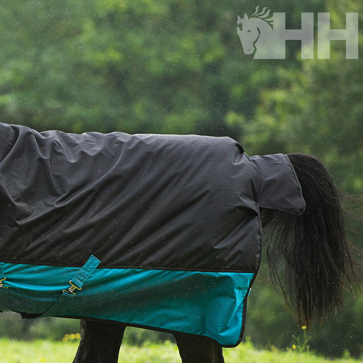 Cobertura para cavalo preta e verde-azulada ao ar livre
