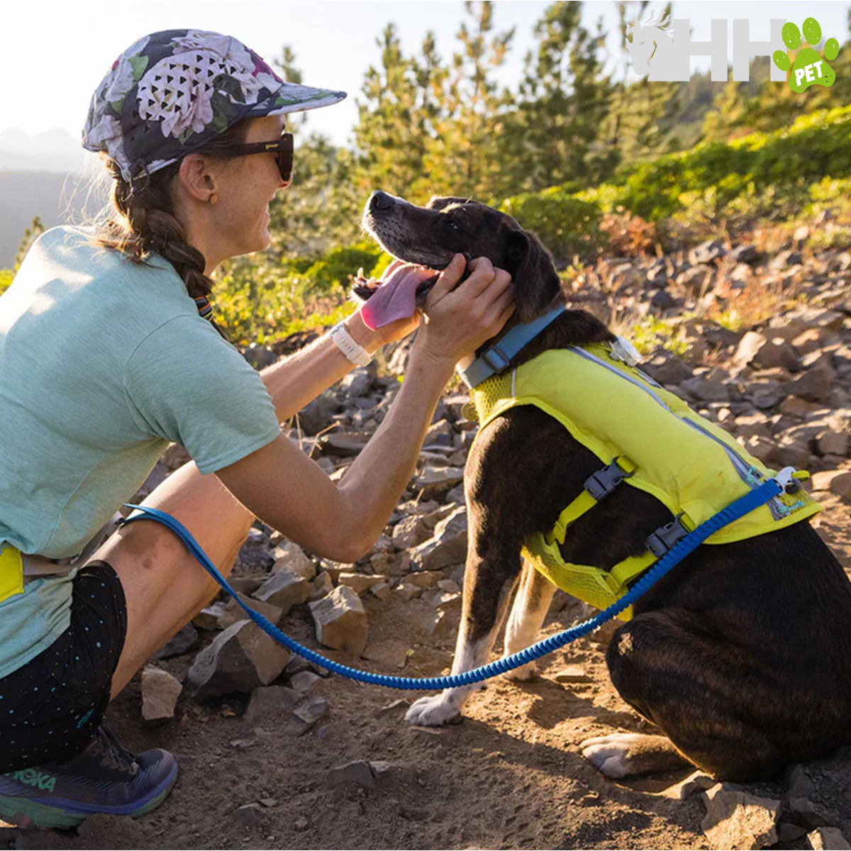 Mulher interage com cão com colete amarelo e coleira azul em trilha montanhosa