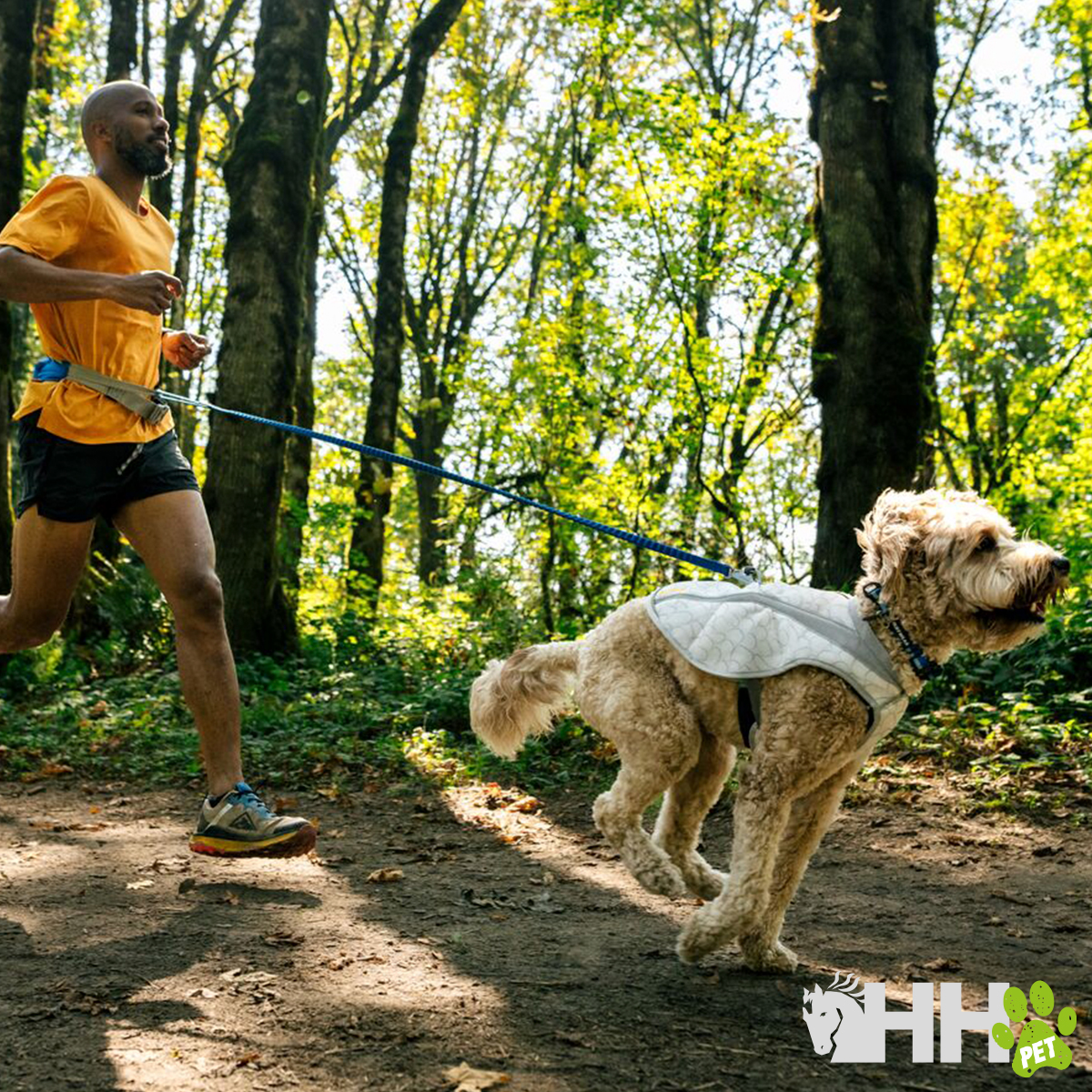 Homem a correr com cão num trilho de floresta, cão usa casaco cinzento claro e está preso por trela azul.