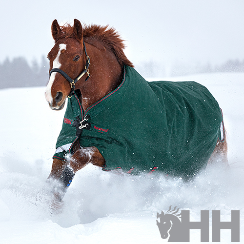 Cavalo castanho com manta verde escura na neve