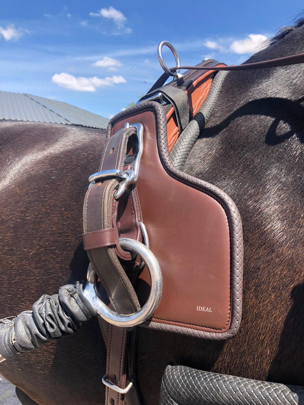 Sela de equitação em couro castanho e preto num cavalo castanho escuro ao ar livre