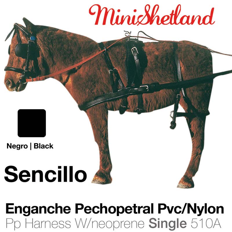 Cavalo castanho com peitoral de arnes preto e texto publicitário em fundo branco