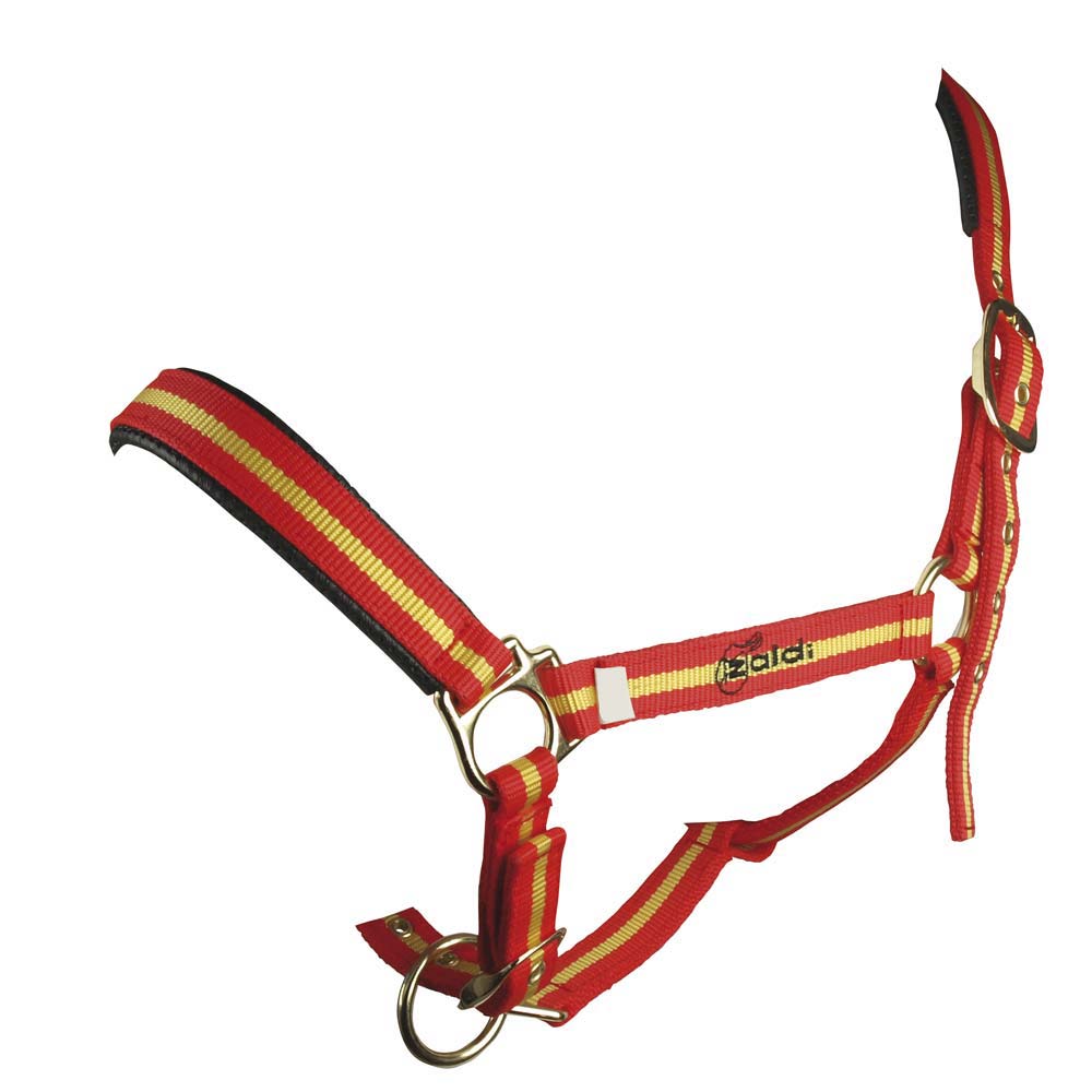 Cabresto para cavalo em fita de nylon vermelha com riscas amarelas e ferragens douradas
