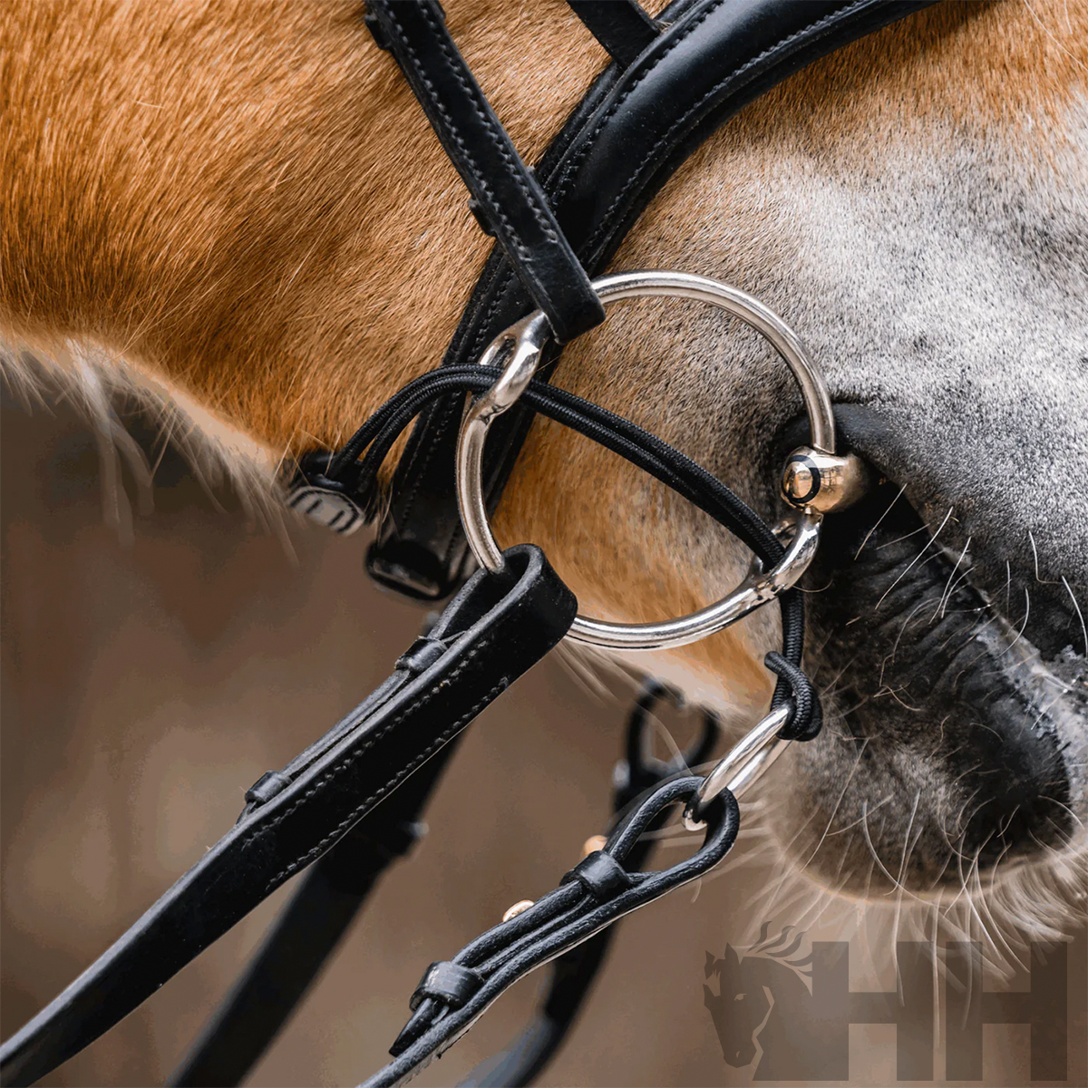 Cabeça de cavalo com freio metálico e arreio de couro preto