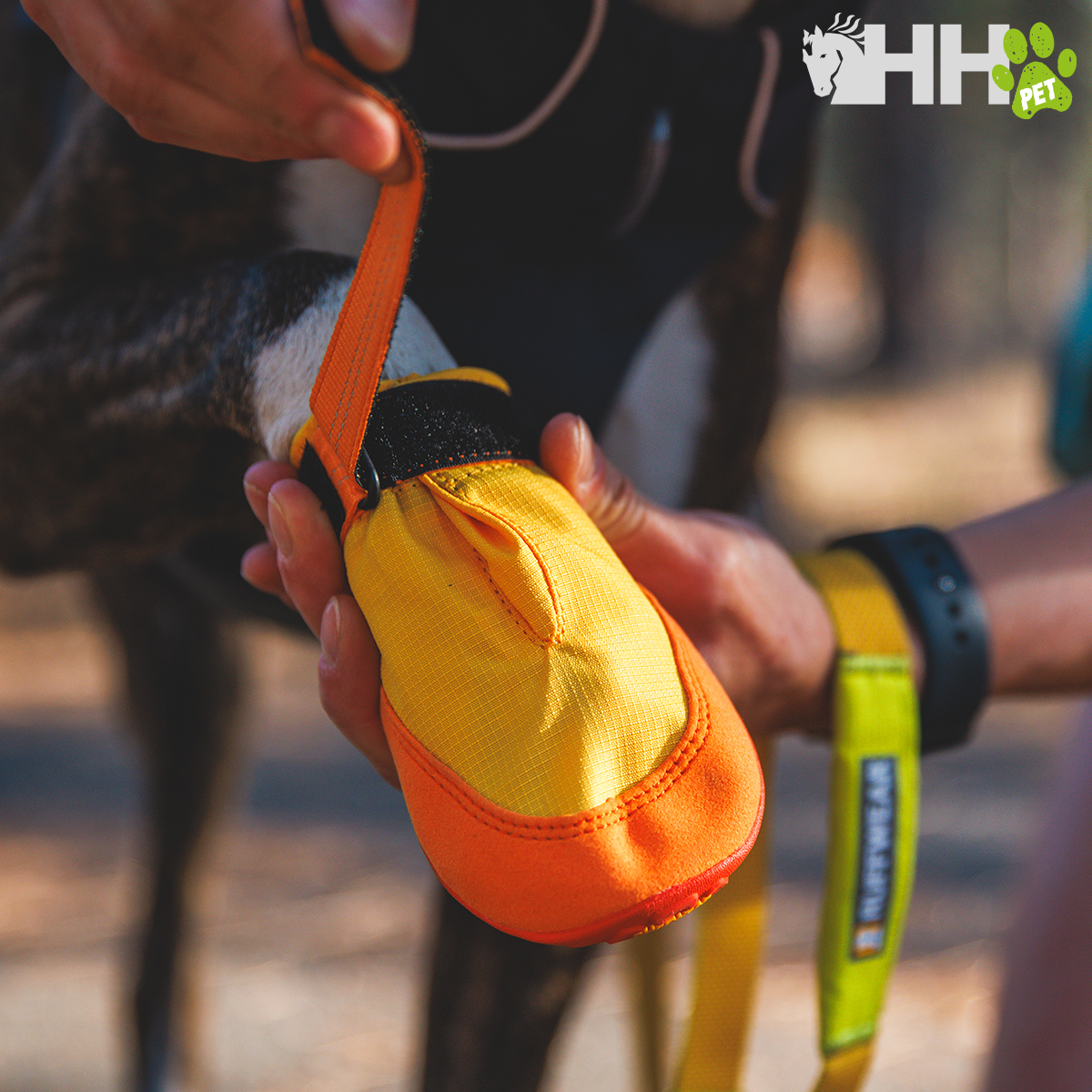 Botinha amarela e laranja para cão sendo colocada na pata, com coleira amarela atrás