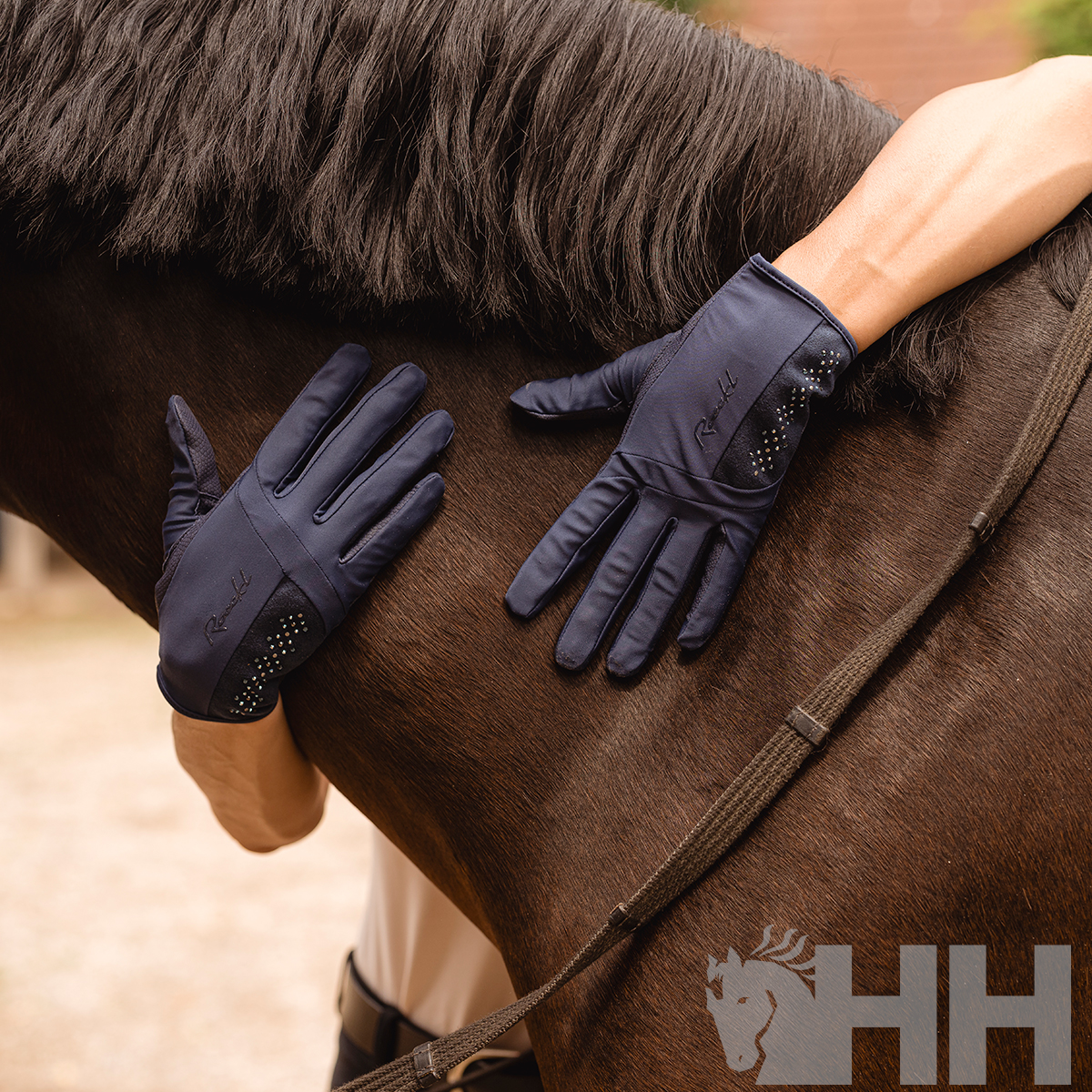 Luvas de equitação azuis com detalhes e pedraria abraçando cavalo castanho