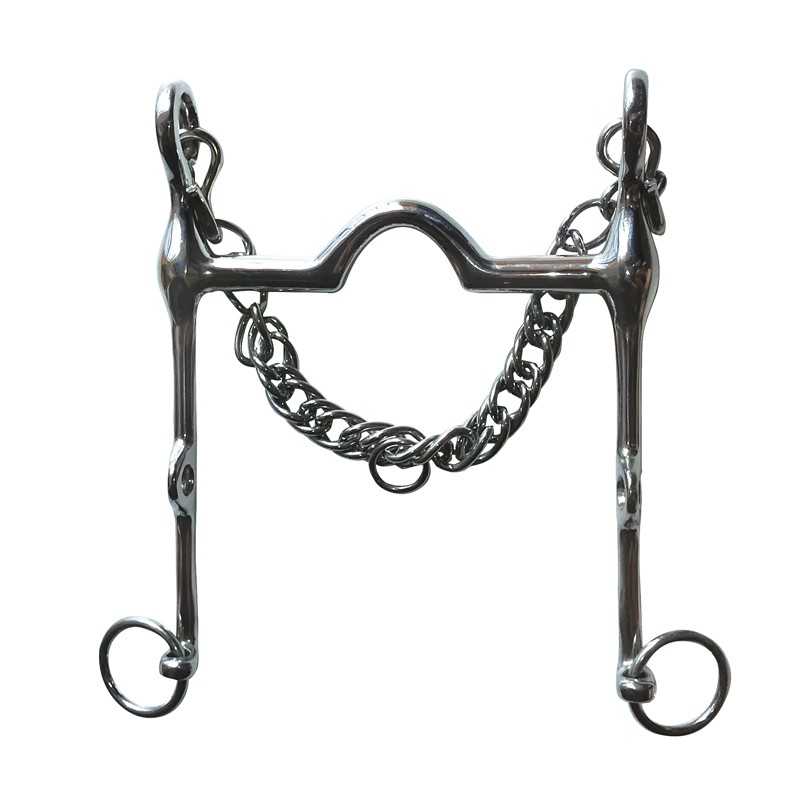 Bridão metálico prateado com corrente em fundo branco