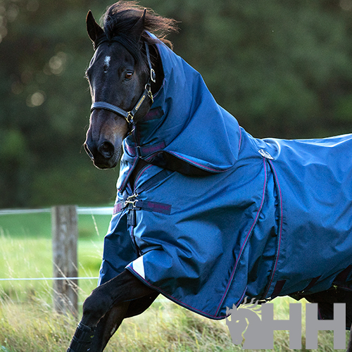 Cavalo preto com manta azul resistente à água num campo verde